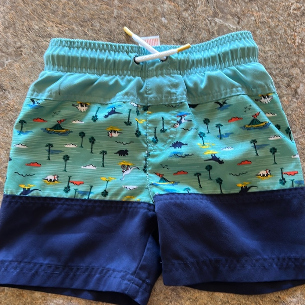 3T Cat & Jack Dinosaur swim trunks
